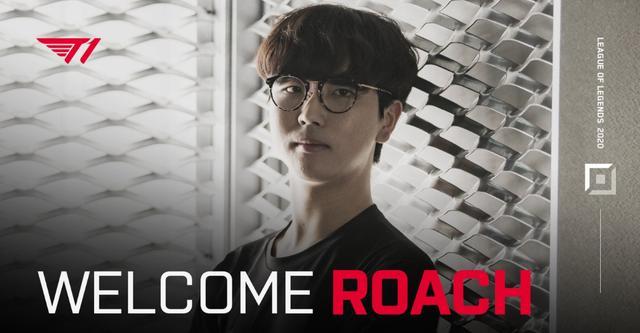 最后的巅峰 最后的巅峰