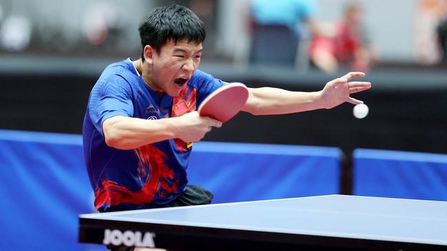 不仅展示了 不仅展示了