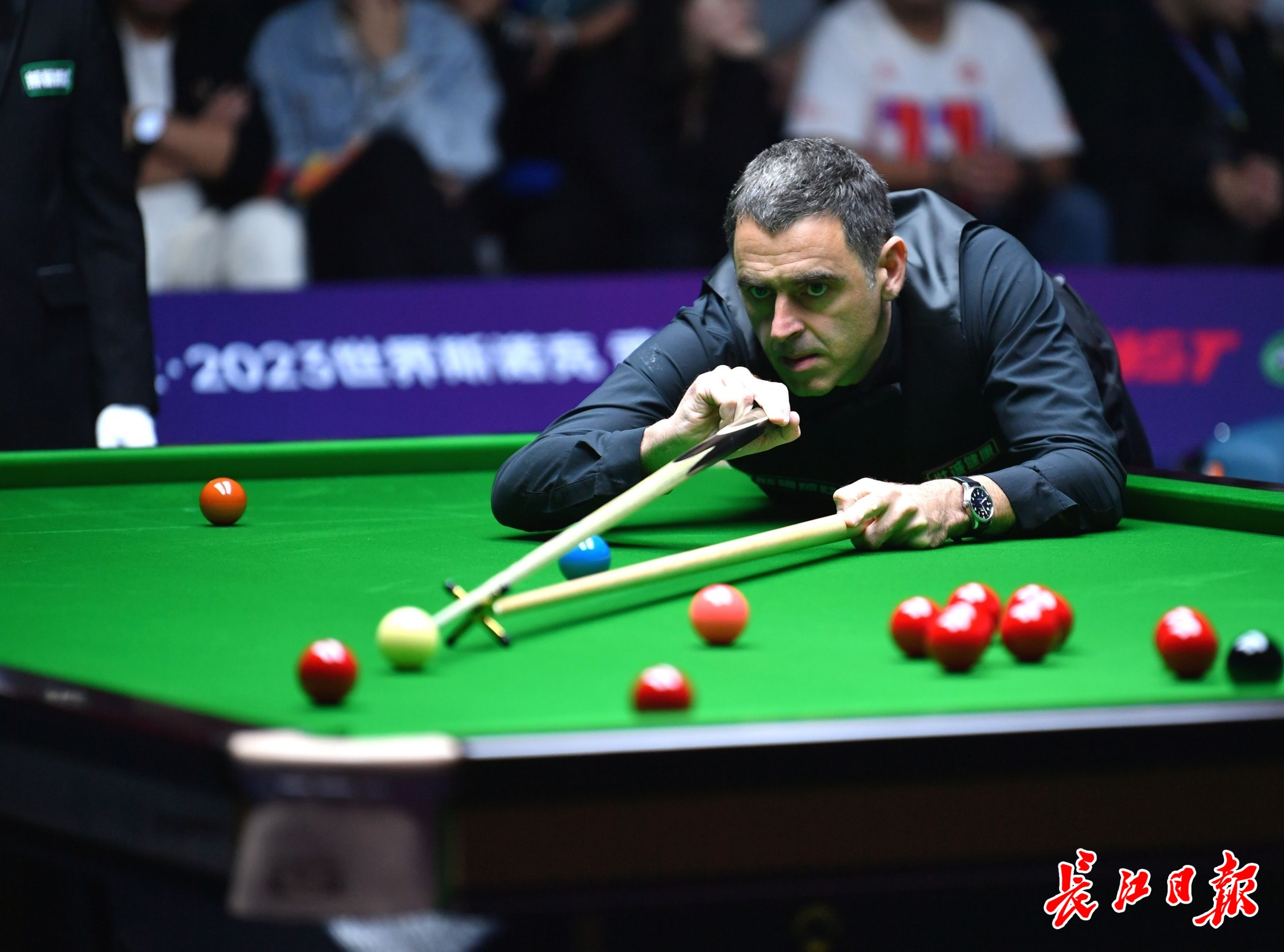 戴维领衔 戴维领衔